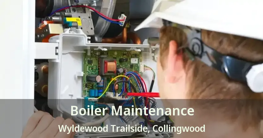 Boiler Maintenance Wyldewood Trailside, Collingwood - ON