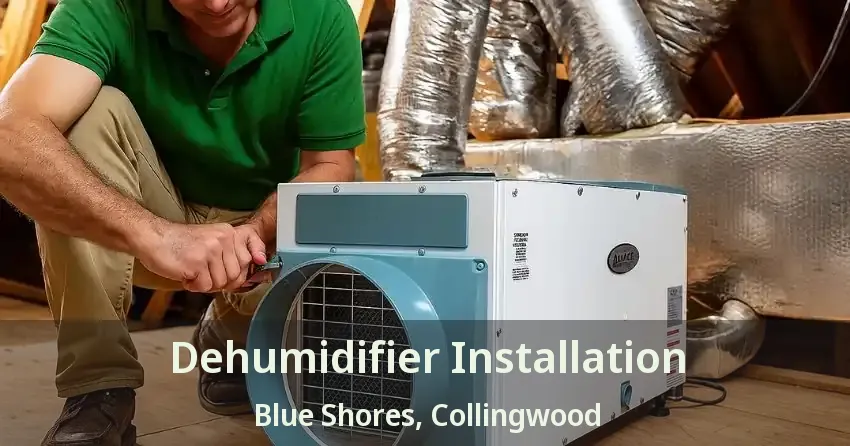 Dehumidifier Installation Blue Shores, Collingwood - ON