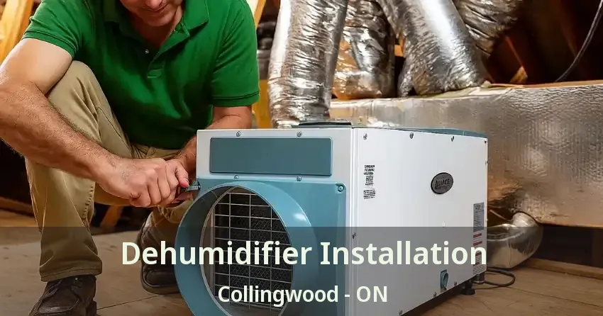 Dehumidifier Installation Collingwood - ON