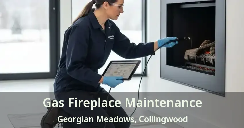 Gas Fireplace Maintenance Georgian Meadows, Collingwood - ON