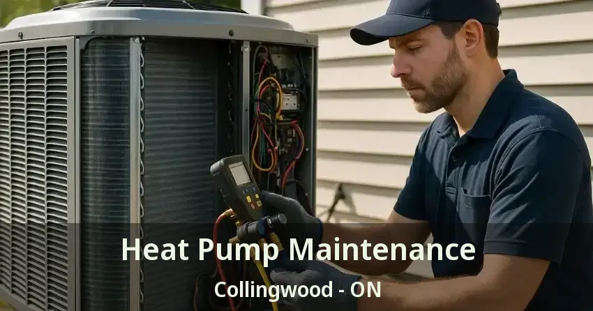 Heat Pump Maintenance Collingwood - ON