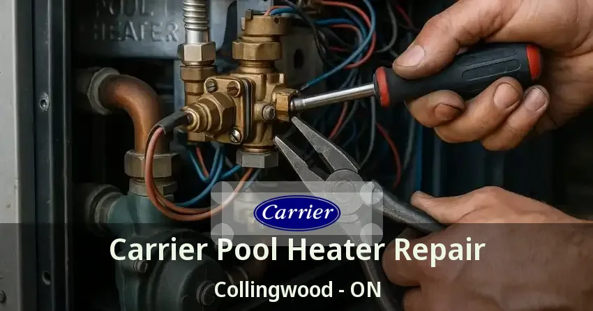Carrier Pool Heater Repair Collingwood - ON